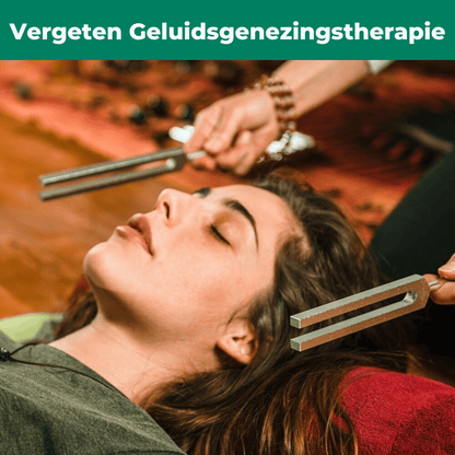 528 Hz "Frequentie van Liefde" Helend Instrument + Bonussen - Timelessdeals