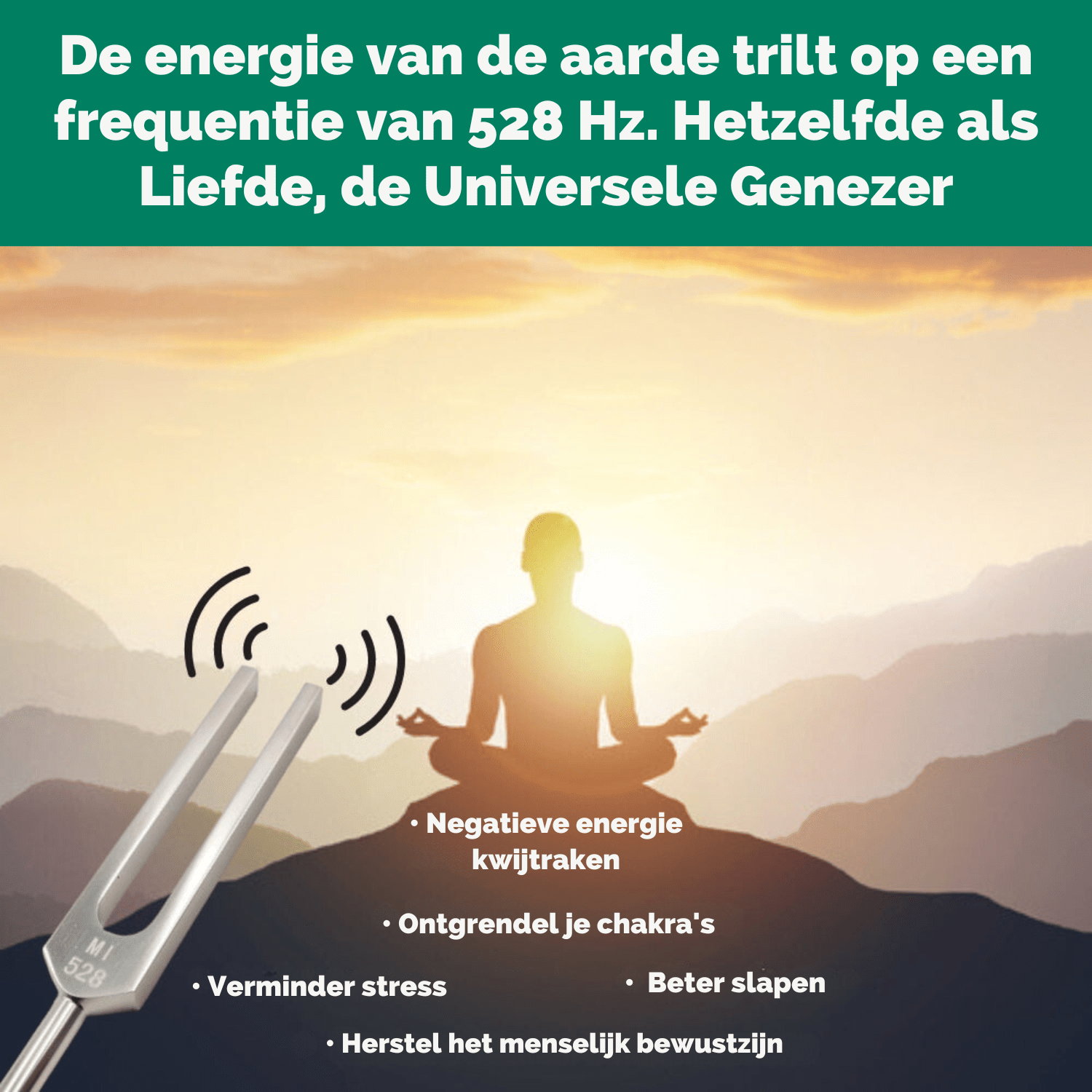 528 Hz "Frequentie van Liefde" Helend Instrument + Bonussen - Timelessdeals