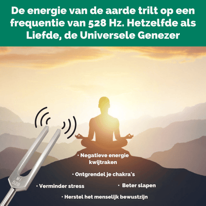 528 Hz "Frequentie van Liefde" Helend Instrument + Bonussen - Timelessdeals
